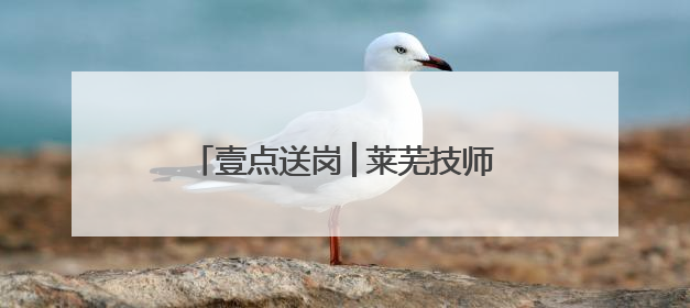 壹点送岗│莱芜技师学院公开招聘22人