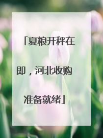 夏粮开秤在即，河北收购准备就绪
