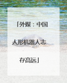 外媒：中国人形机器人志存高远