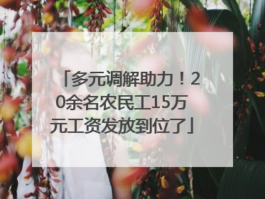 多元调解助力！20余名农民工15万元工资发放到位了