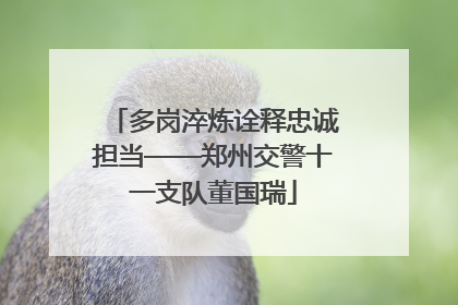 多岗淬炼诠释忠诚担当——郑州交警十一支队董国瑞