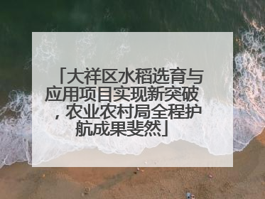 大祥区水稻选育与应用项目实现新突破，农业农村局全程护航成果斐然