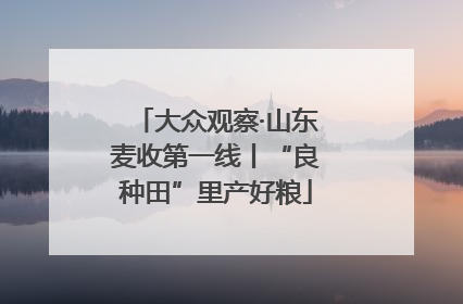 大众观察·山东麦收第一线丨“良种田”里产好粮