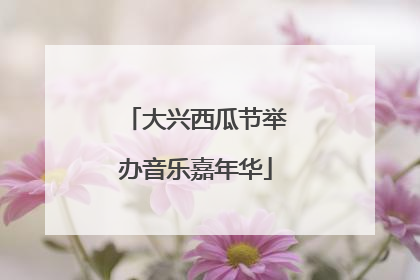 大兴西瓜节举办音乐嘉年华