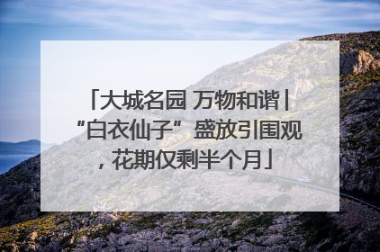 大城名园 万物和谐│“白衣仙子”盛放引围观，花期仅剩半个月