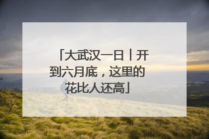 大武汉一日︱开到六月底，这里的花比人还高