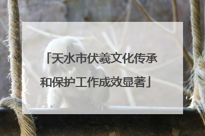 天水市伏羲文化传承和保护工作成效显著