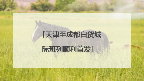 天津至成都白货城际班列顺利首发
