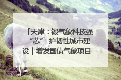 天津：锻气象科技强“芯” 护韧性城市建设｜增发国债气象项目落地见效系列报道