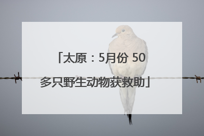 太原：5月份 50多只野生动物获救助
