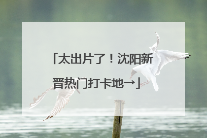 太出片了！沈阳新晋热门打卡地→