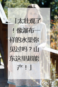 太壮观了！像瀑布一样的水果你见过吗？山东这里超能产！