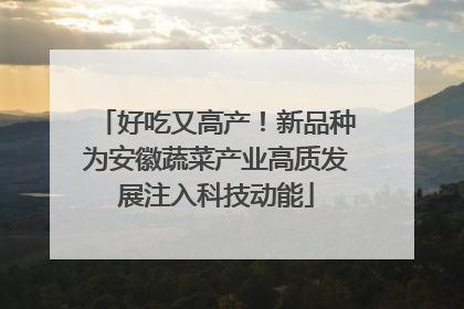 好吃又高产！新品种为安徽蔬菜产业高质发展注入科技动能
