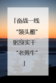奋战一线“领头雁” 躬身实干“老黄牛”