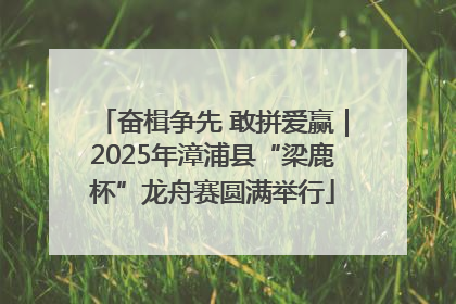 奋楫争先 敢拼爱赢｜2025年漳浦县“梁鹿杯”龙舟赛圆满举行