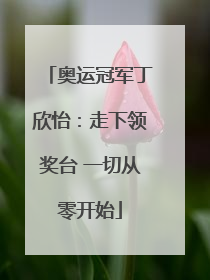 奥运冠军丁欣怡：走下领奖台 一切从零开始