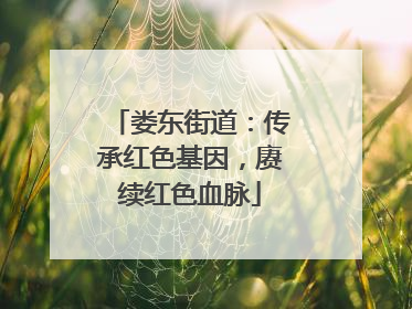 娄东街道：传承红色基因，赓续红色血脉