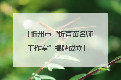 忻州市“忻青苗名师工作室”揭牌成立