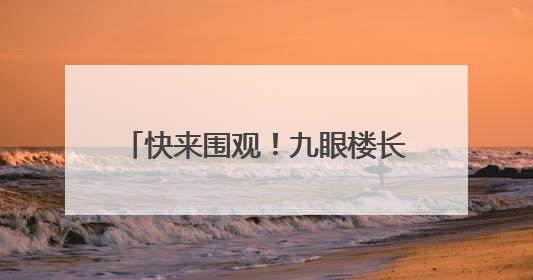 快来围观！九眼楼长城，傻狍子出没~