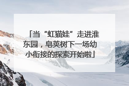当“虹猫娃”走进淮东园，皂荚树下一场幼小衔接的探索开始啦