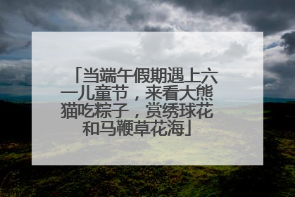 当端午假期遇上六一儿童节，来看大熊猫吃粽子，赏绣球花和马鞭草花海