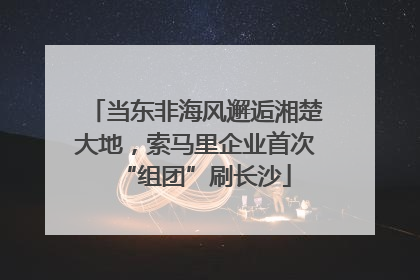 当东非海风邂逅湘楚大地，索马里企业首次“组团”刷长沙