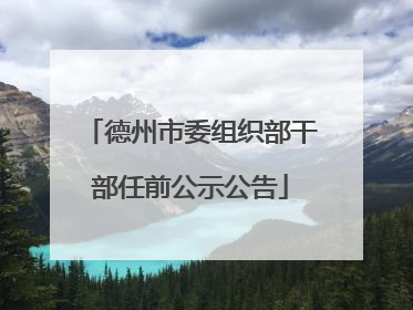 德州市委组织部干部任前公示公告