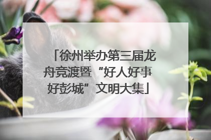 徐州举办第三届龙舟竞渡暨“好人好事好彭城”文明大集
