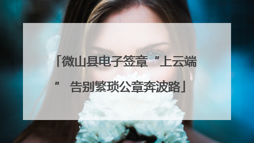 微山县电子签章“上云端” 告别繁琐公章奔波路