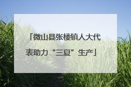 微山县张楼镇人大代表助力“三夏”生产