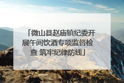 微山县赵庙镇纪委开展午间饮酒专项监督检查 筑牢纪律防线