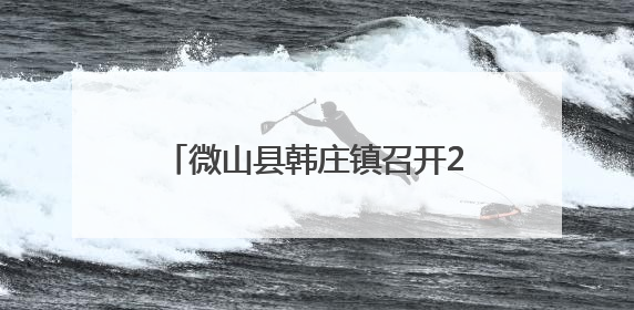 微山县韩庄镇召开2025年度夏季秸秆禁烧工作动员部署会议