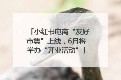 小红书电商“友好市集”上线，6月将举办“开业活动”