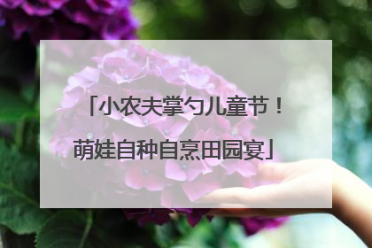 小农夫掌勺儿童节！萌娃自种自烹田园宴
