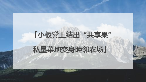 小板凳上结出“共享果” 私垦菜地变身睦邻农场
