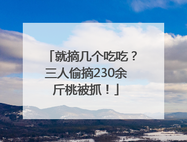 就摘几个吃吃？三人偷摘230余斤桃被抓！
