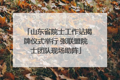 山东省院士工作站揭牌仪式举行 张联盟院士团队现场助阵