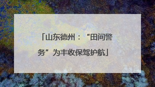 山东德州：“田间警务”为丰收保驾护航