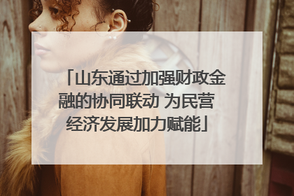山东通过加强财政金融的协同联动 为民营经济发展加力赋能