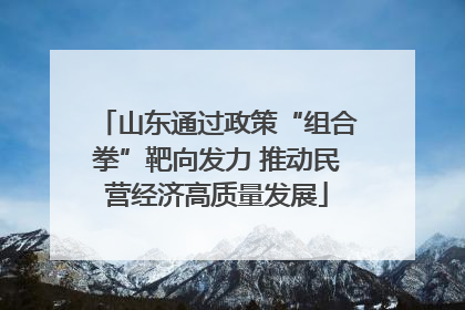 山东通过政策“组合拳”靶向发力 推动民营经济高质量发展