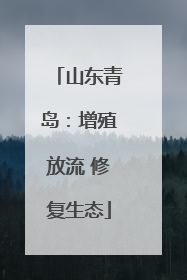 山东青岛：增殖放流 修复生态