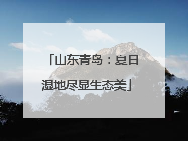 山东青岛：夏日湿地尽显生态美