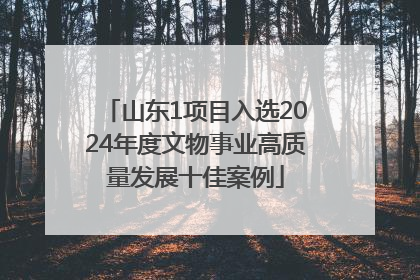 山东1项目入选2024年度文物事业高质量发展十佳案例