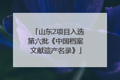 山东2项目入选第六批《中国档案文献遗产名录》
