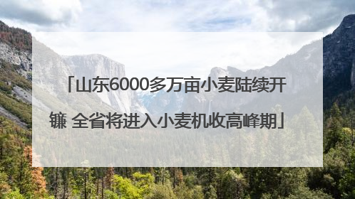 山东6000多万亩小麦陆续开镰 全省将进入小麦机收高峰期