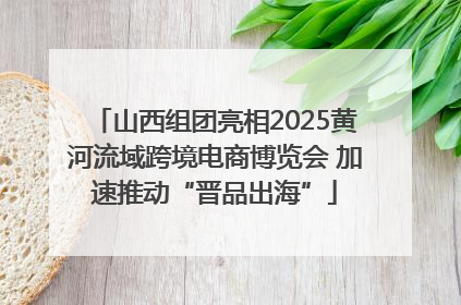 山西组团亮相2025黄河流域跨境电商博览会 加速推动“晋品出海”