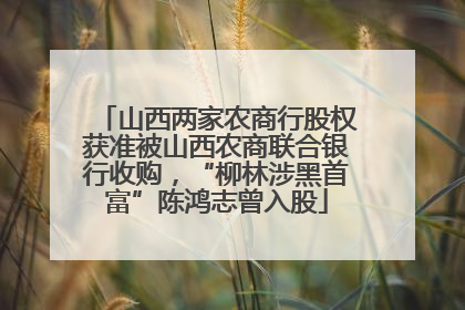 山西两家农商行股权获准被山西农商联合银行收购，“柳林涉黑首富”陈鸿志曾入股