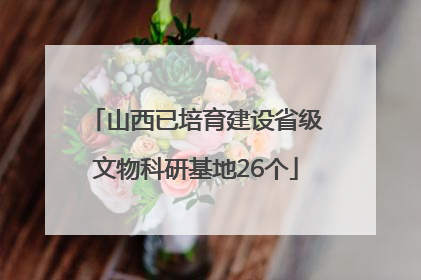 山西已培育建设省级文物科研基地26个