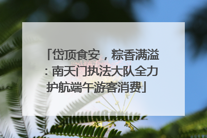 岱顶食安，粽香满溢：南天门执法大队全力护航端午游客消费