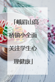 峨眉山高桥镇小全面关注学生心理健康